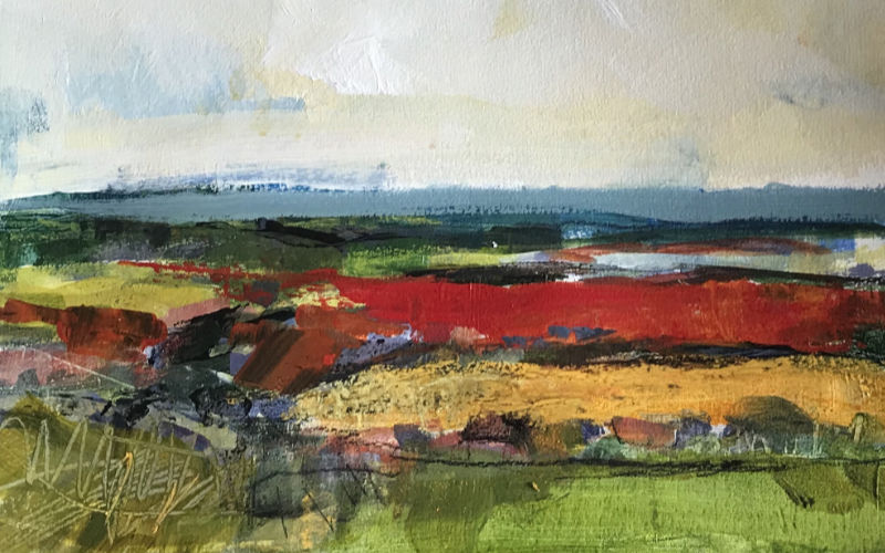 Poppy Field, Fife