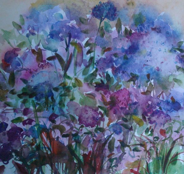 Blue Hydrangeas